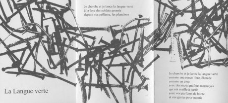 La langue verte