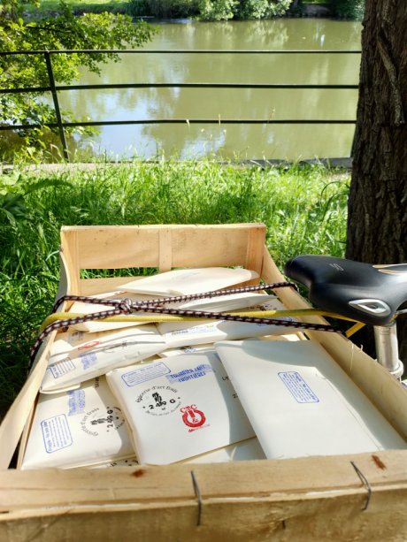 Livraison en cours des paniers d'art frais