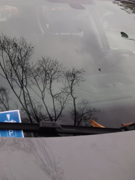 Minute...Papillon<small class="fine d-inline"> </small>!