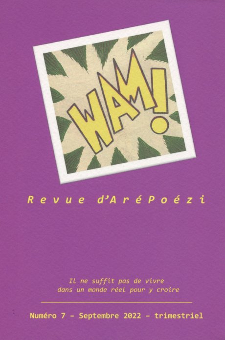 <span class="caps">WAM</span> 7<small class="fine d-inline"> </small>!